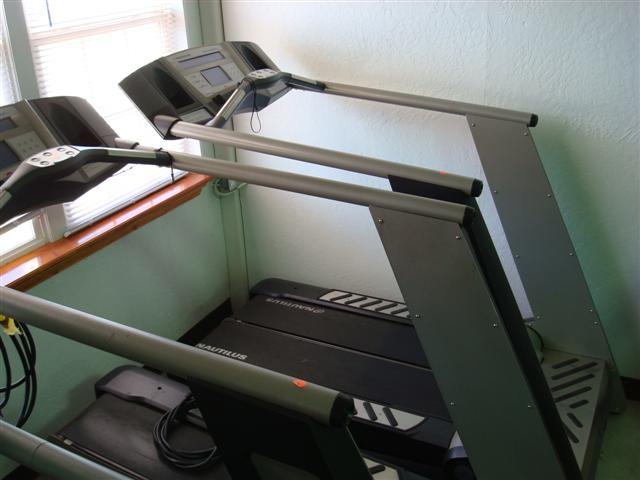 Run Nautilus TreadClimber Vari Marchi Usato Wellness Point