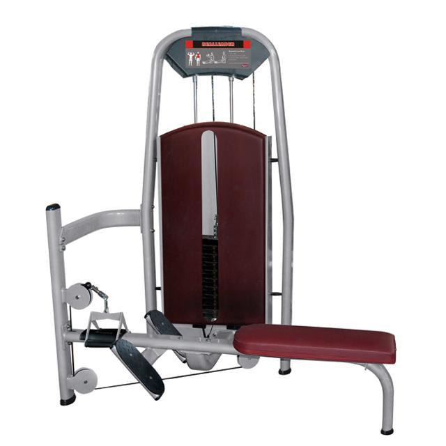 Pulley Machine M5 1019 