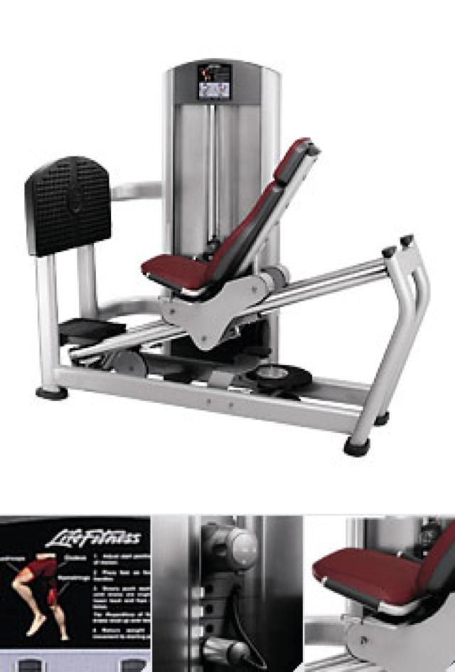 Seated leg press (FZSLP)