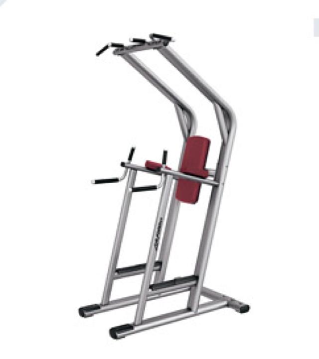 Chin/Dip/Leg raise (SCDLR)
