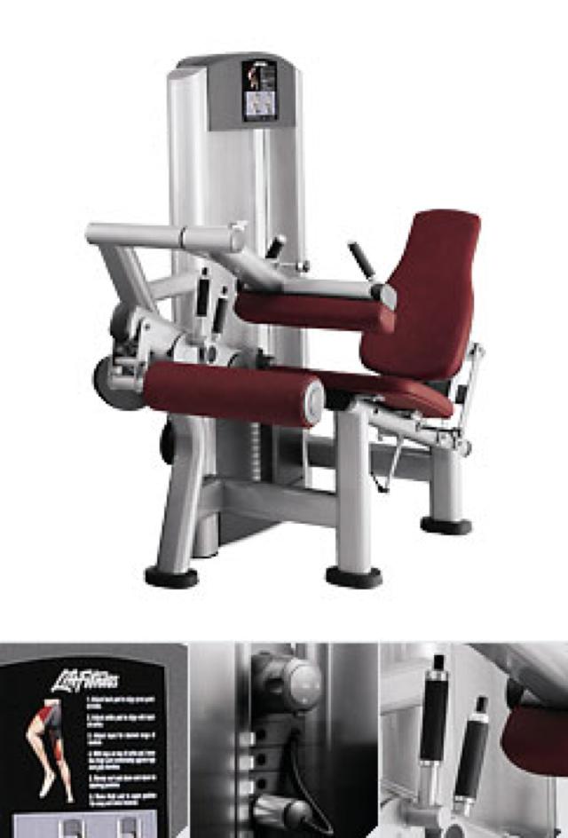 Seated leg curl (FZSLC)