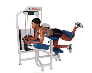 Glute pro series