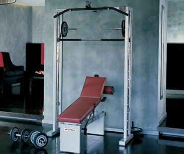Technogym Multipla usato