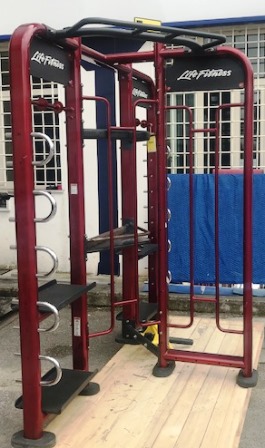 Synergy life fitness cage without ercolina