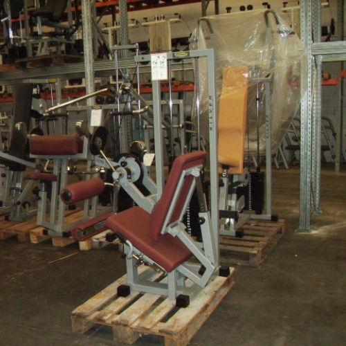 Technogym PALESTRA COMPLETA ATTREZZI TECHNOGYM LINEA LUX  REVISIONATA 