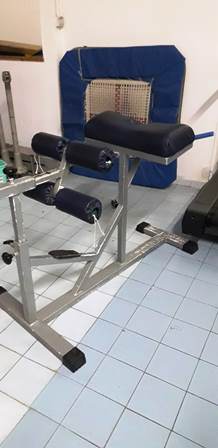 Hyperextension panatta bench