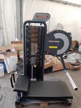 Gluteus press teca