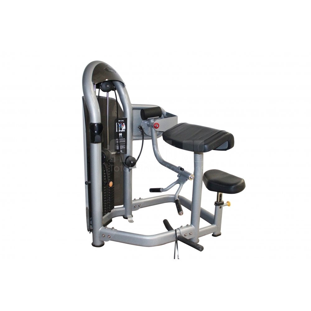 arm curl aura matrix