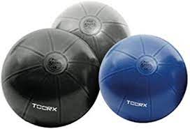 Gym balls pro TOORX  AHF