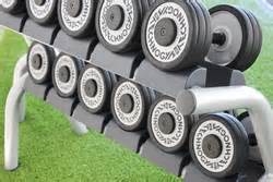 Serie manubri Technogym silver da kg.14 a 32