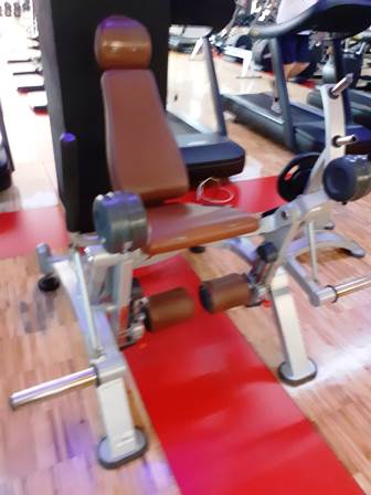 Free weigth panatta leg extension