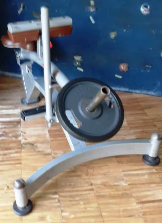 Calf seduto panatta Free weight