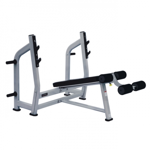 Panca declinata olympic WBX 3600