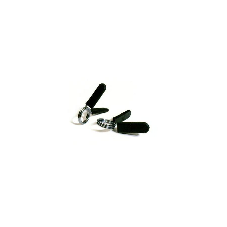 Pair of spring disc retainers for BP-CFF body pump