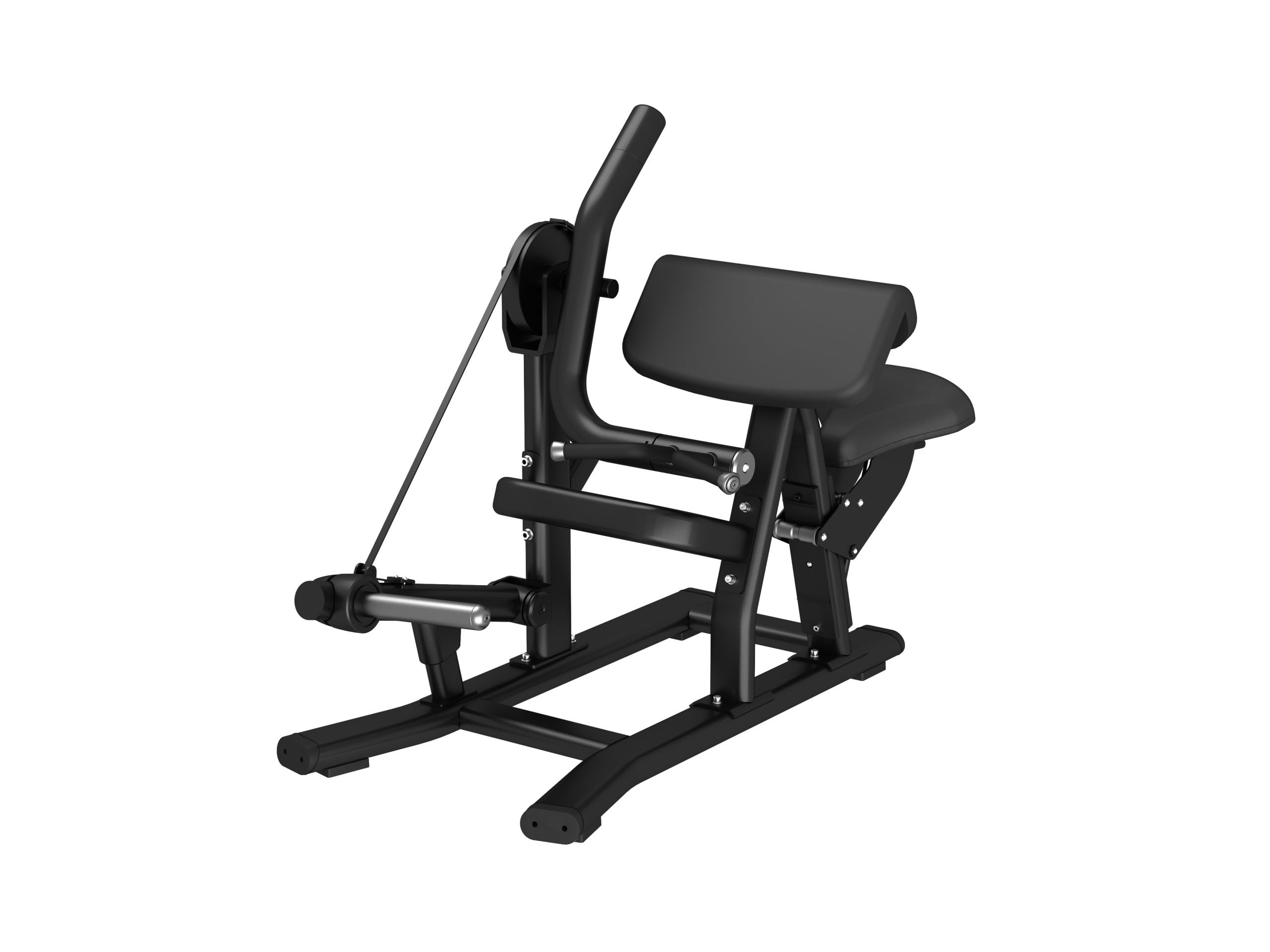 Biceps curl MND PL05