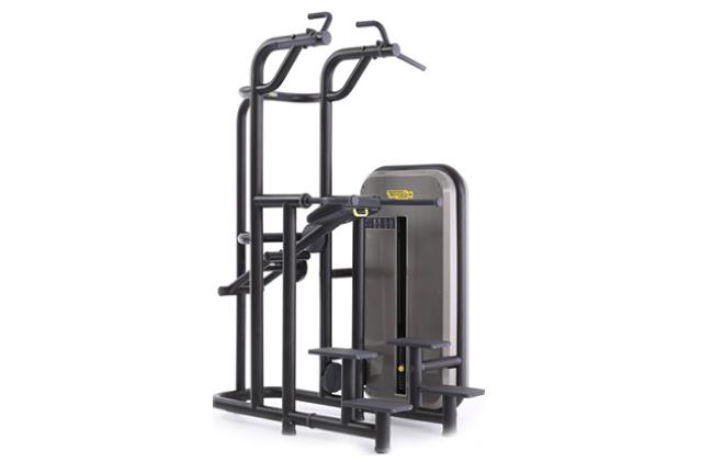 Technogym dip on sale station