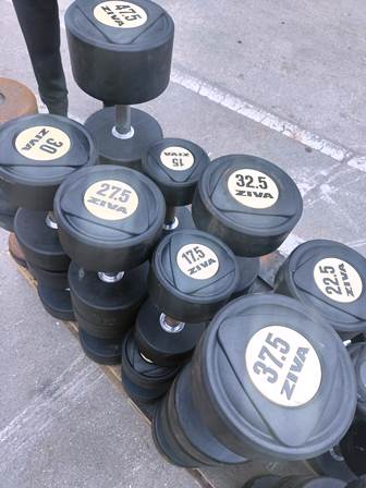 Serie Manubri Ziva da 12,5 a 40 kg