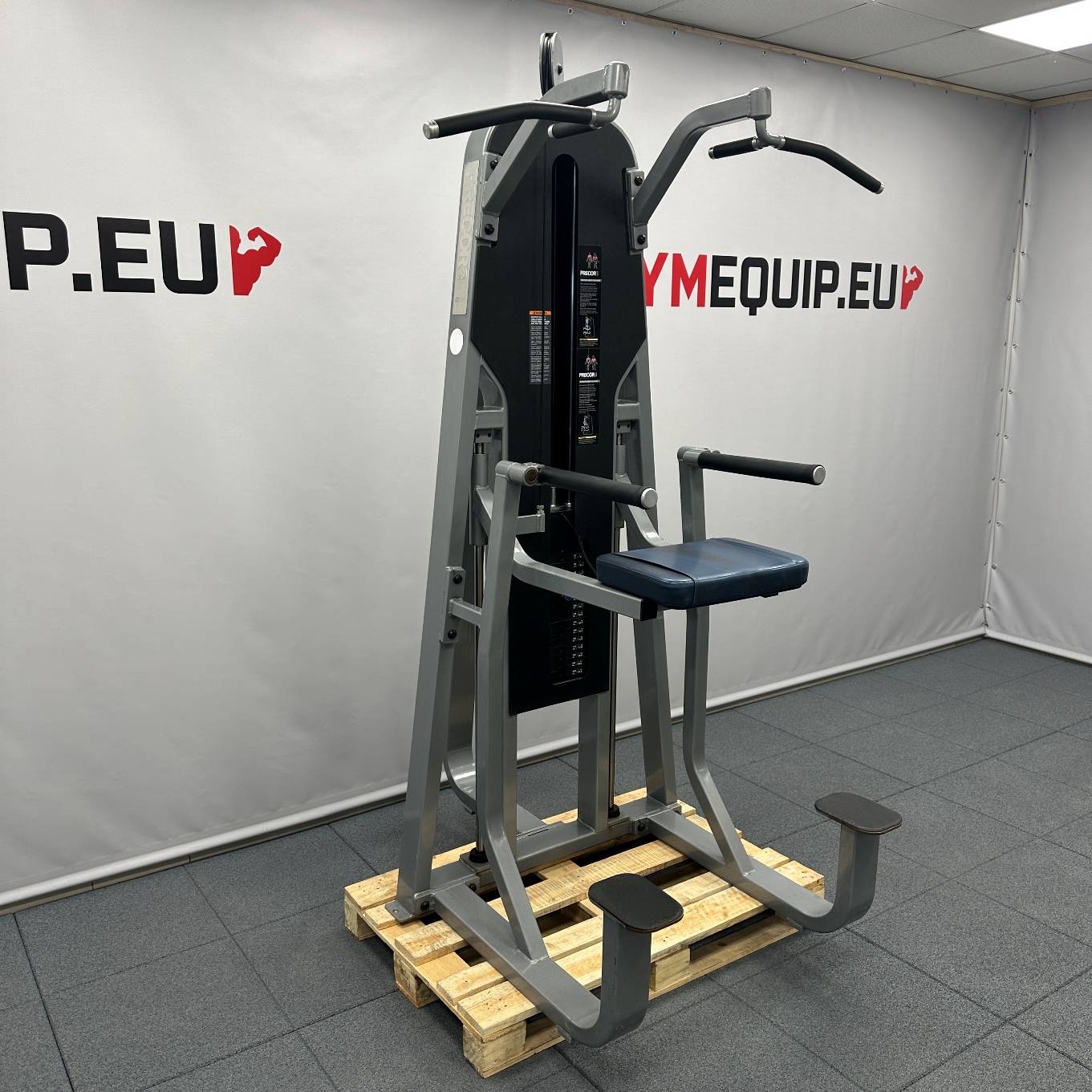 Assisted Chin dip Precor