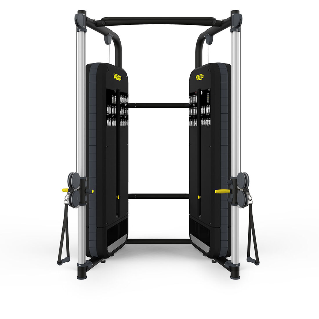 Dual Adjustable pulley fitness technogym