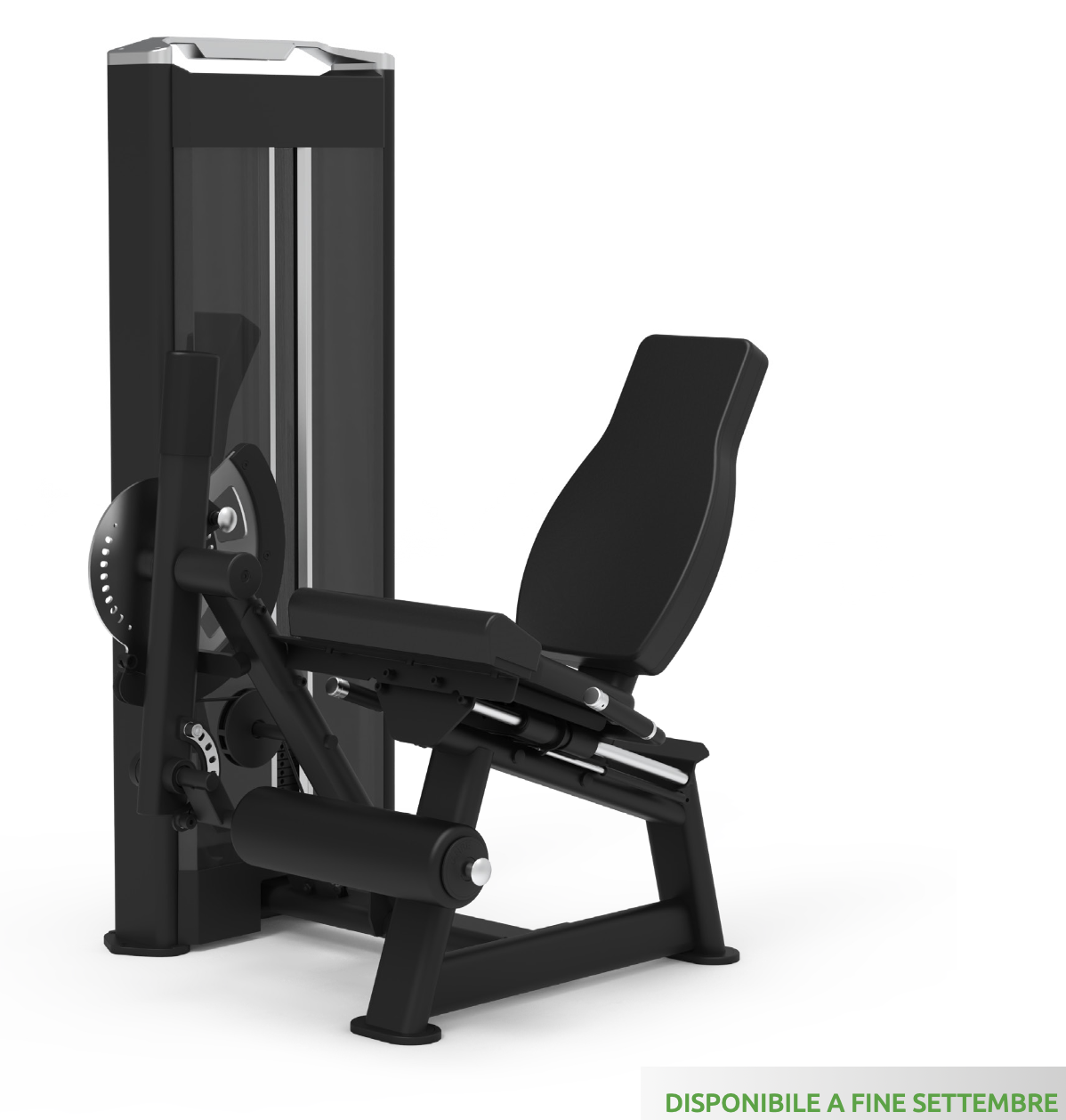 LEG EXTENSION (SERIE 650) - WS650-LEGEXTENSION