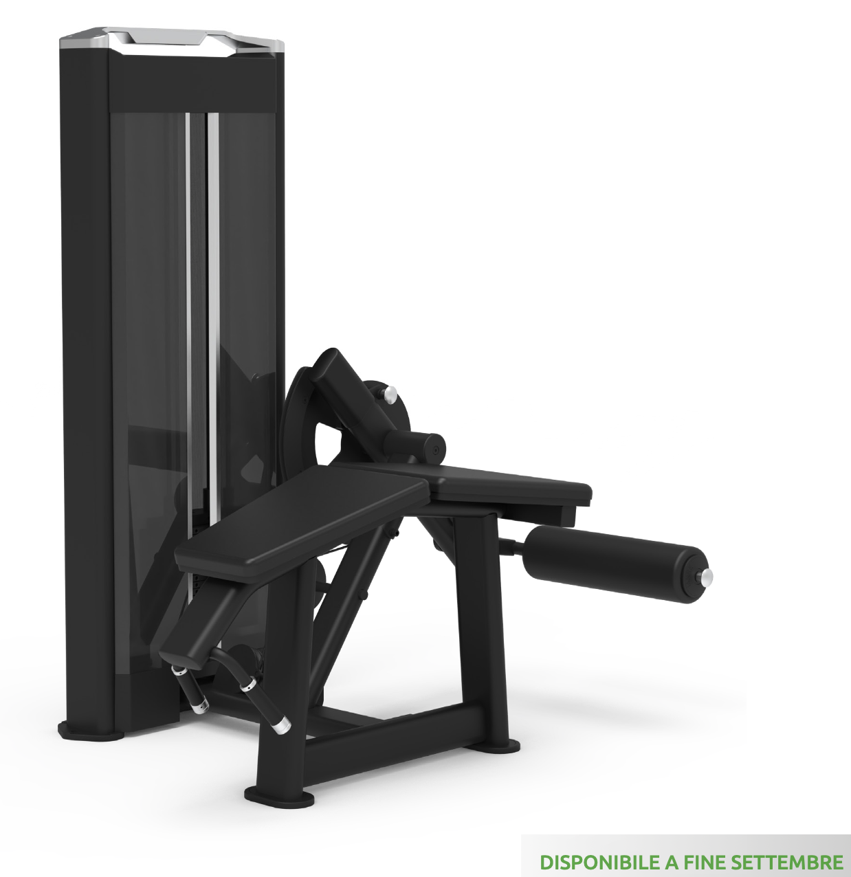 LEG CURL (SERIE 650) - WS650-LEGCURL
