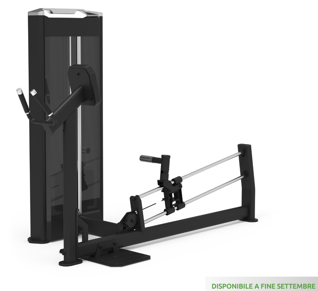 GLUTEUS MACHINE (SERIE 650) - WS650-GLUTEUSMACHINE