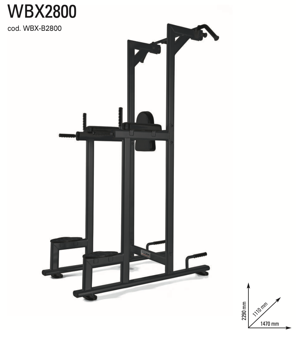CHIN/DIP/LEG RAISED WBX2800 (PROFESSIONAL LINE)