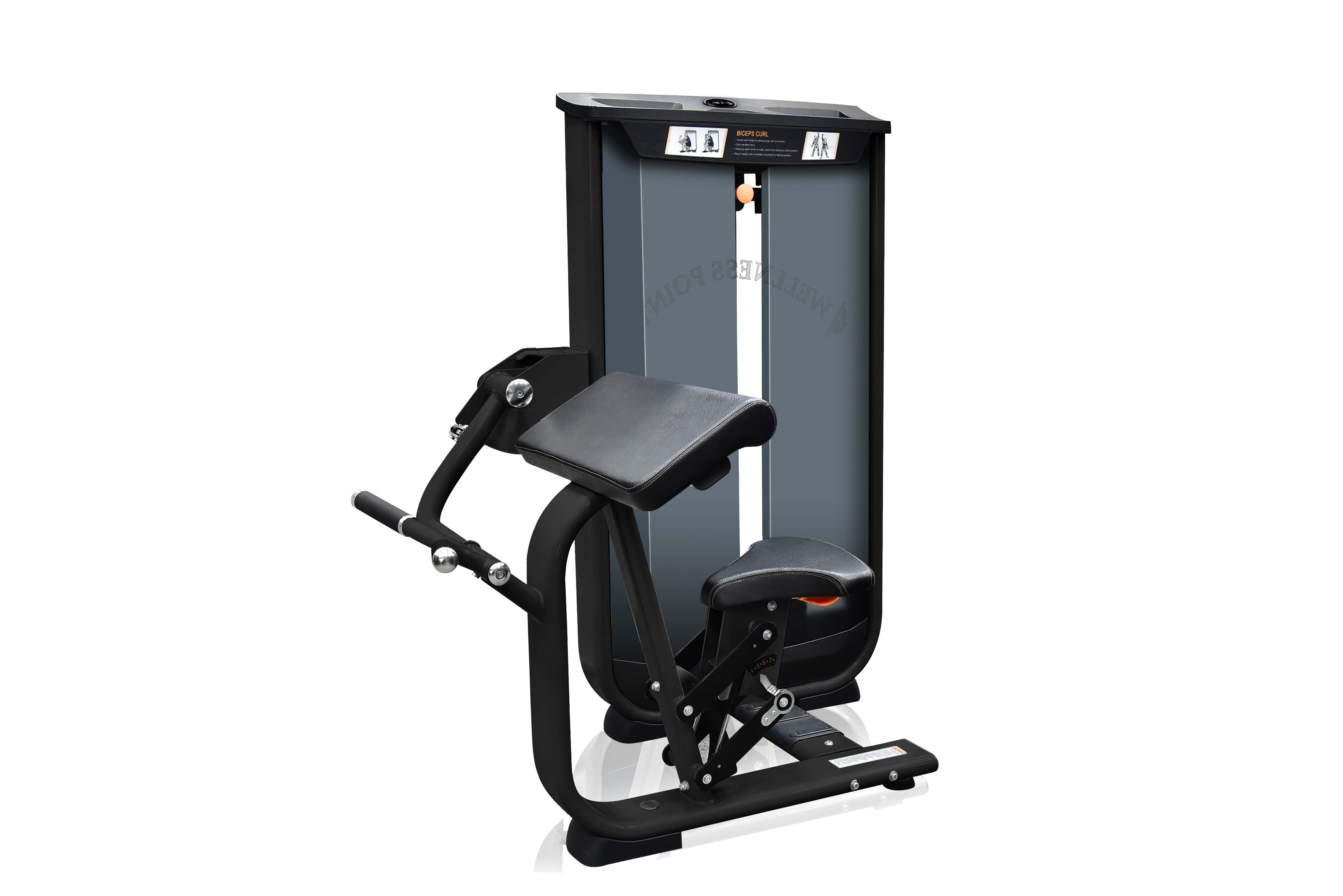 V8-506 Seated biceps curl Vita Gym