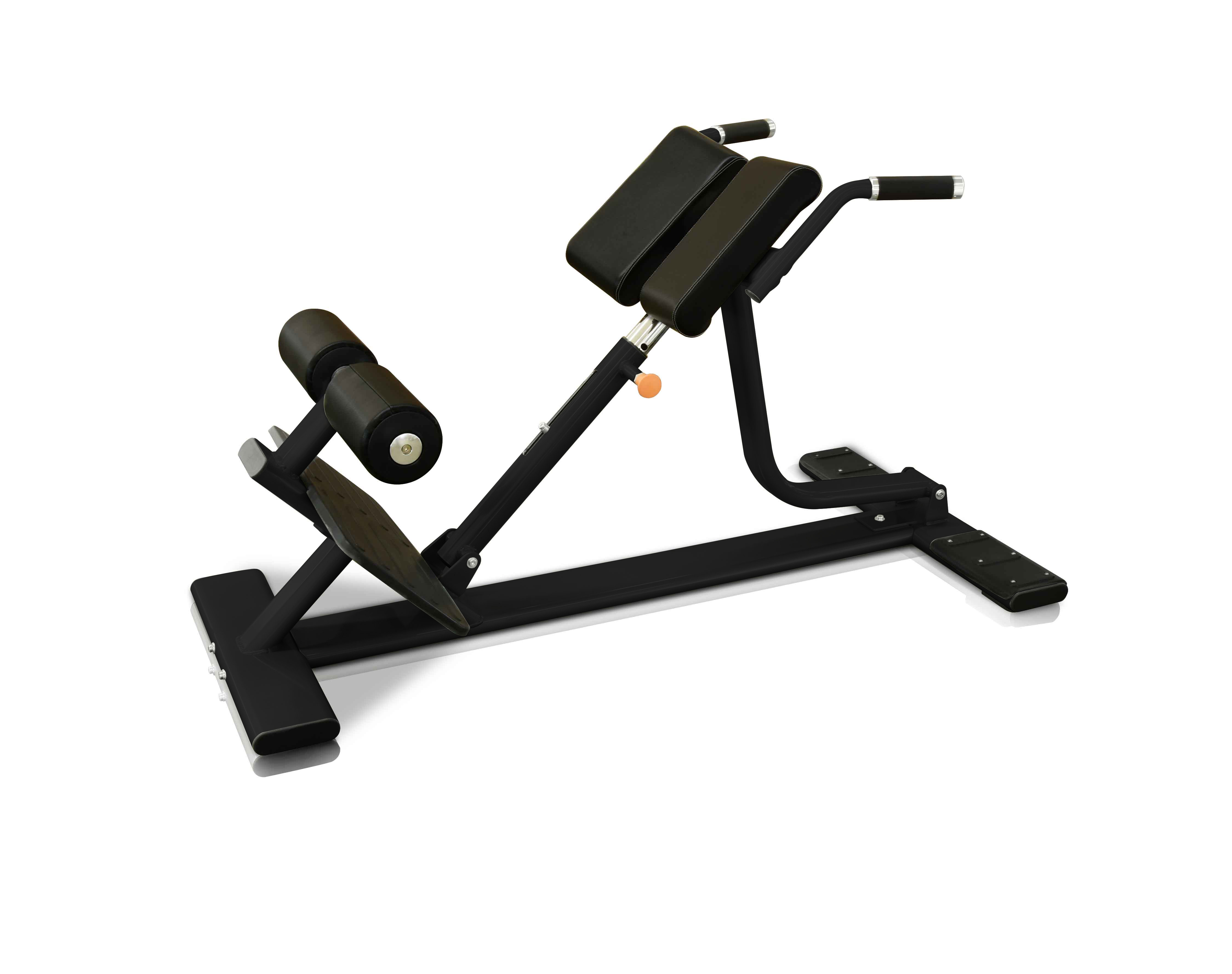 V8-303 Lower back bench Vita Gym
