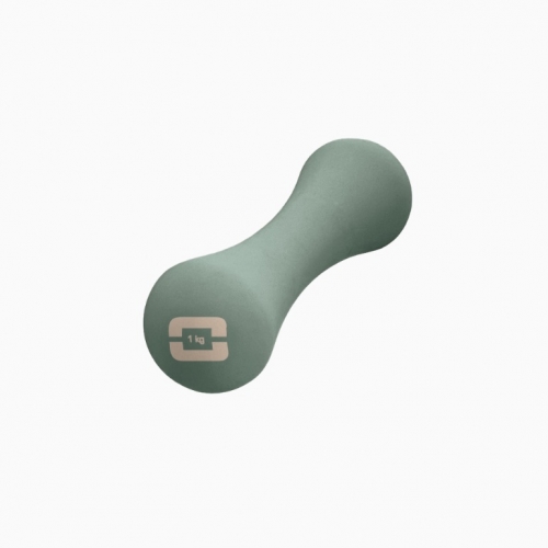 1kg