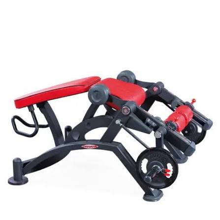 Prone leg curl free weight panatta