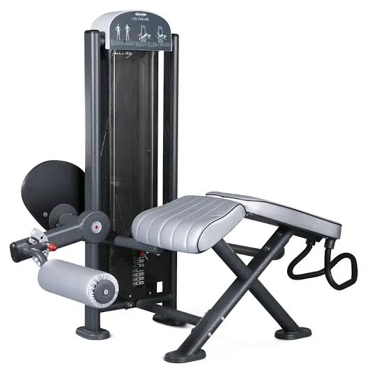 Prone leg curl panatta fit evo