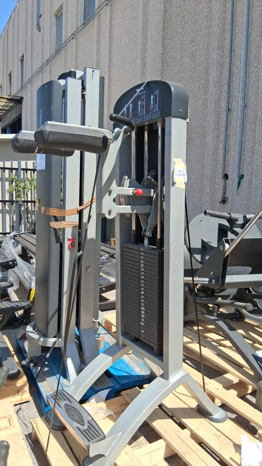 Calf machine Panatta fit evo
