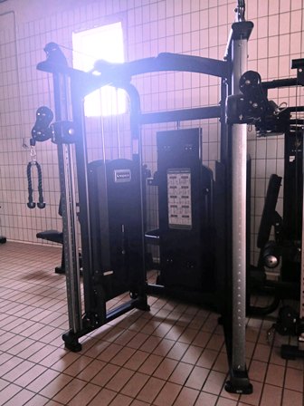 Dual Adjustable pulley Inspace fitness