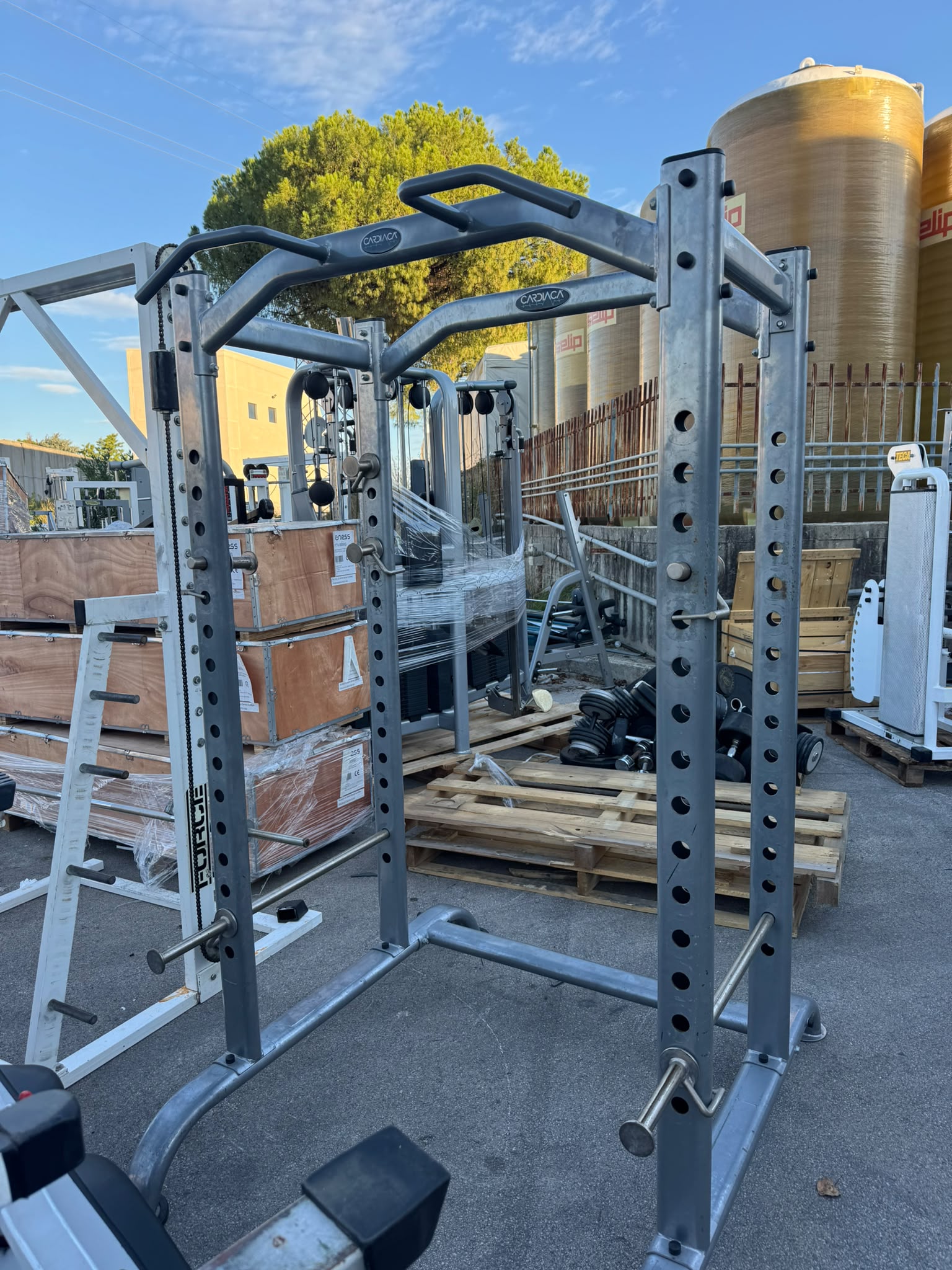 Gabbia Squat Cardiaca