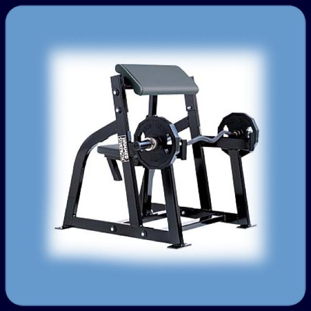 Seated arm curl