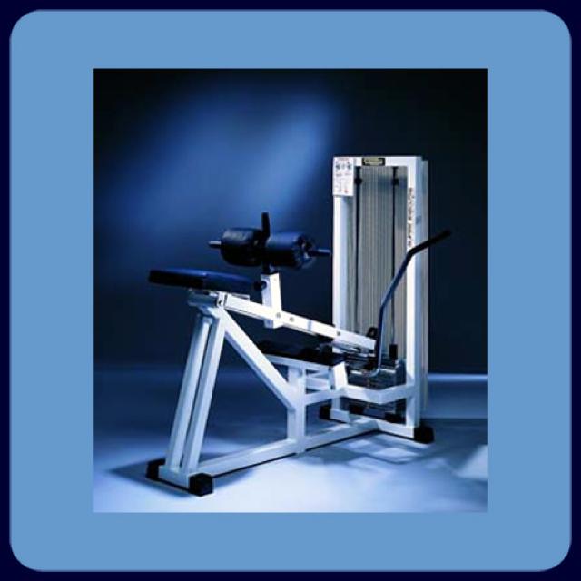 Calf Machine - Sit. Position 