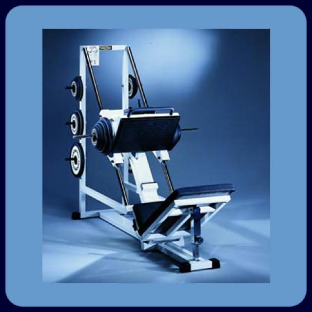 Leg Press 45 degree