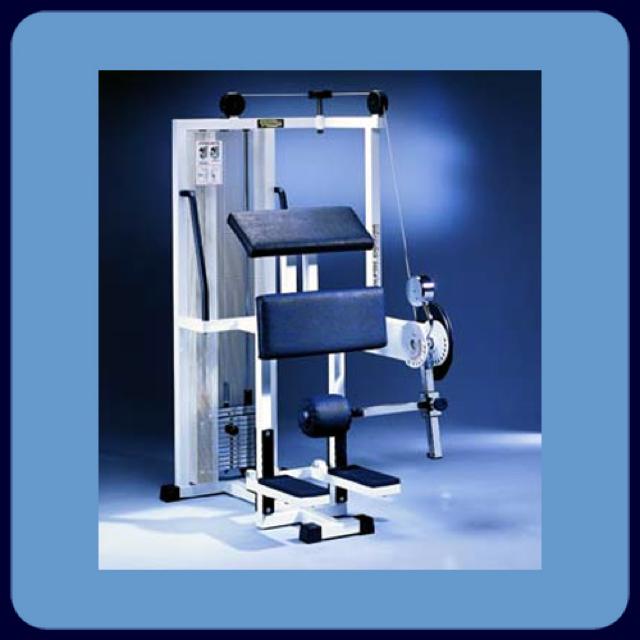 Standing leg curl technogym 2025