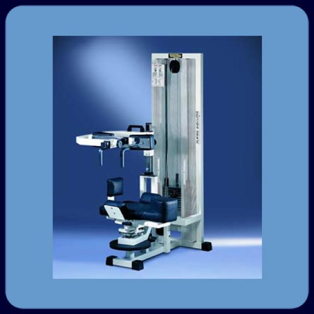 Rotary Torso  