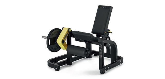 Leg Extension Pure strength