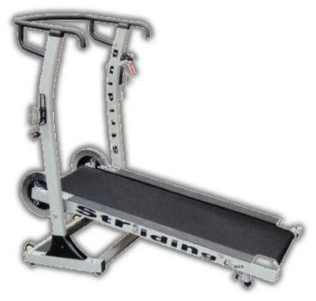 Treadmill Striding